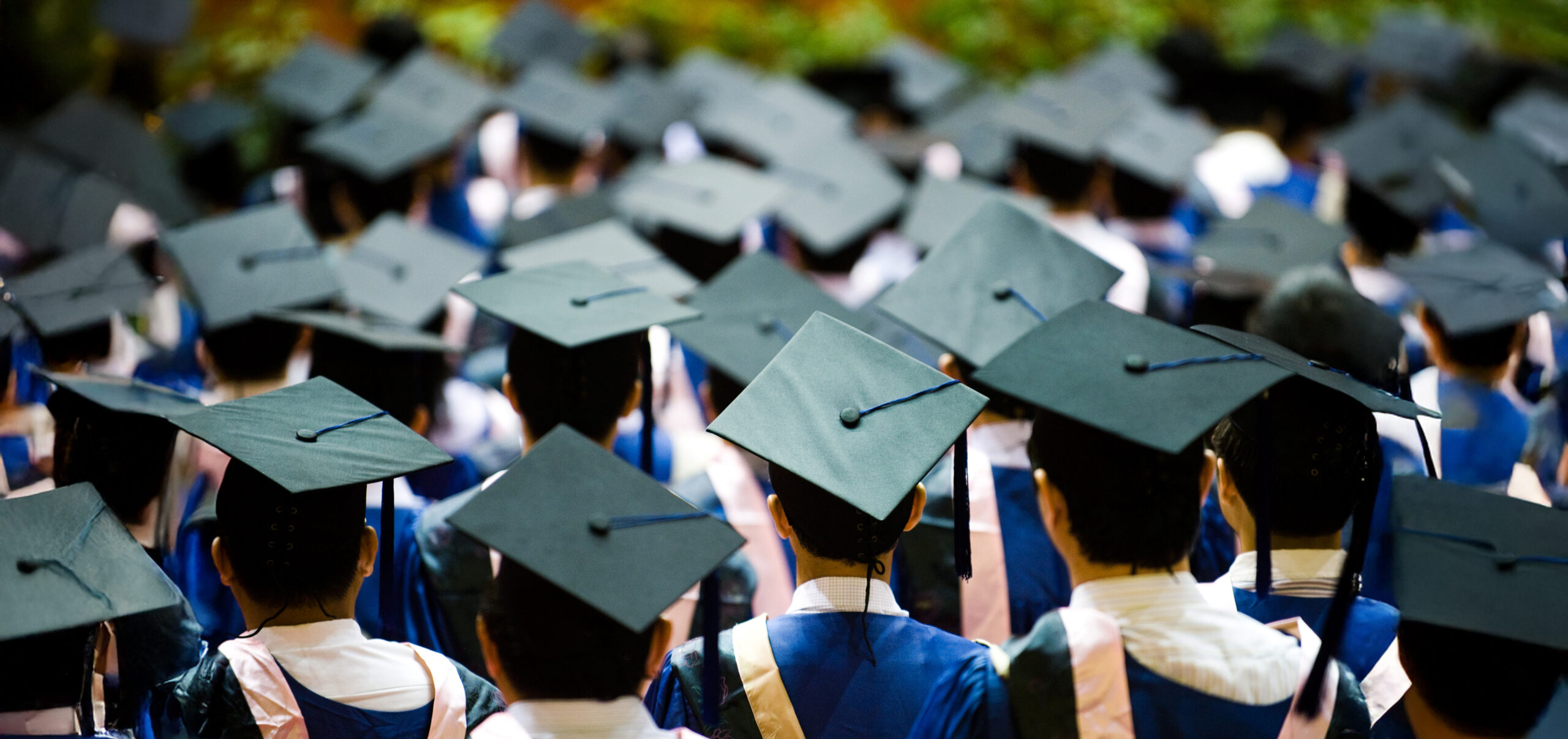 A group of graduates from behind wearing black mortarboards and blue graduation gowns with white trim.